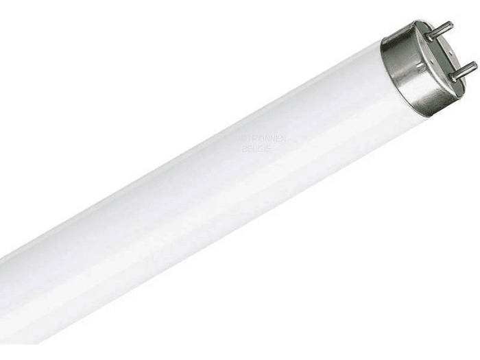 PHIL336 Philips neonka fluo cev 36W/54 TL-D 120cm bela - Slika 2