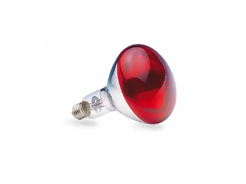 Infra sijalice Led Centar